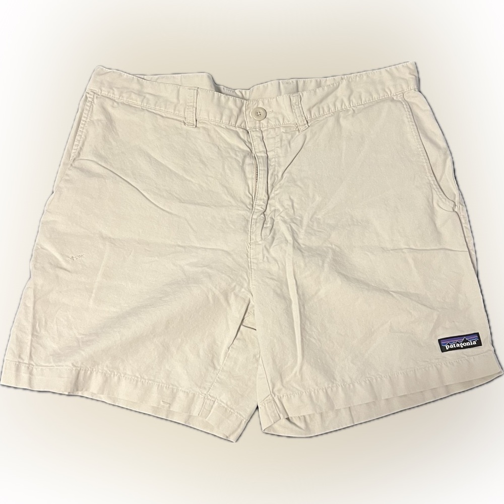 Patagonia Men’s Shorts